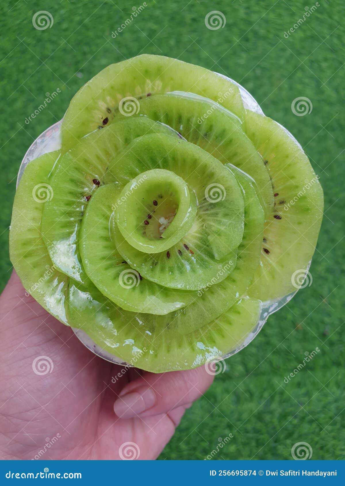 Flower from kiwi fruits stock photo. Image of green 256695874