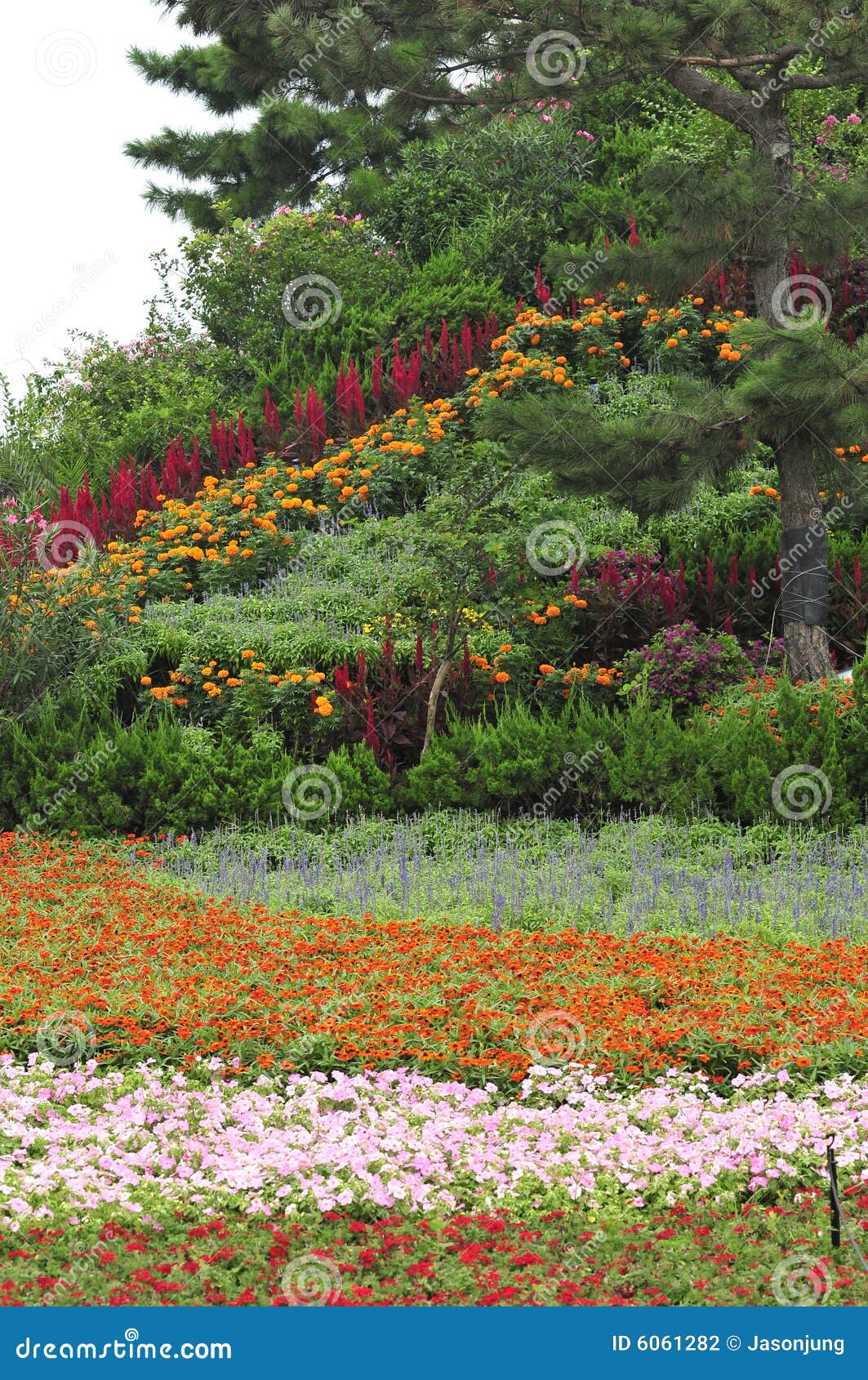 Flower land stock photo. Image of colorful, background 6061282