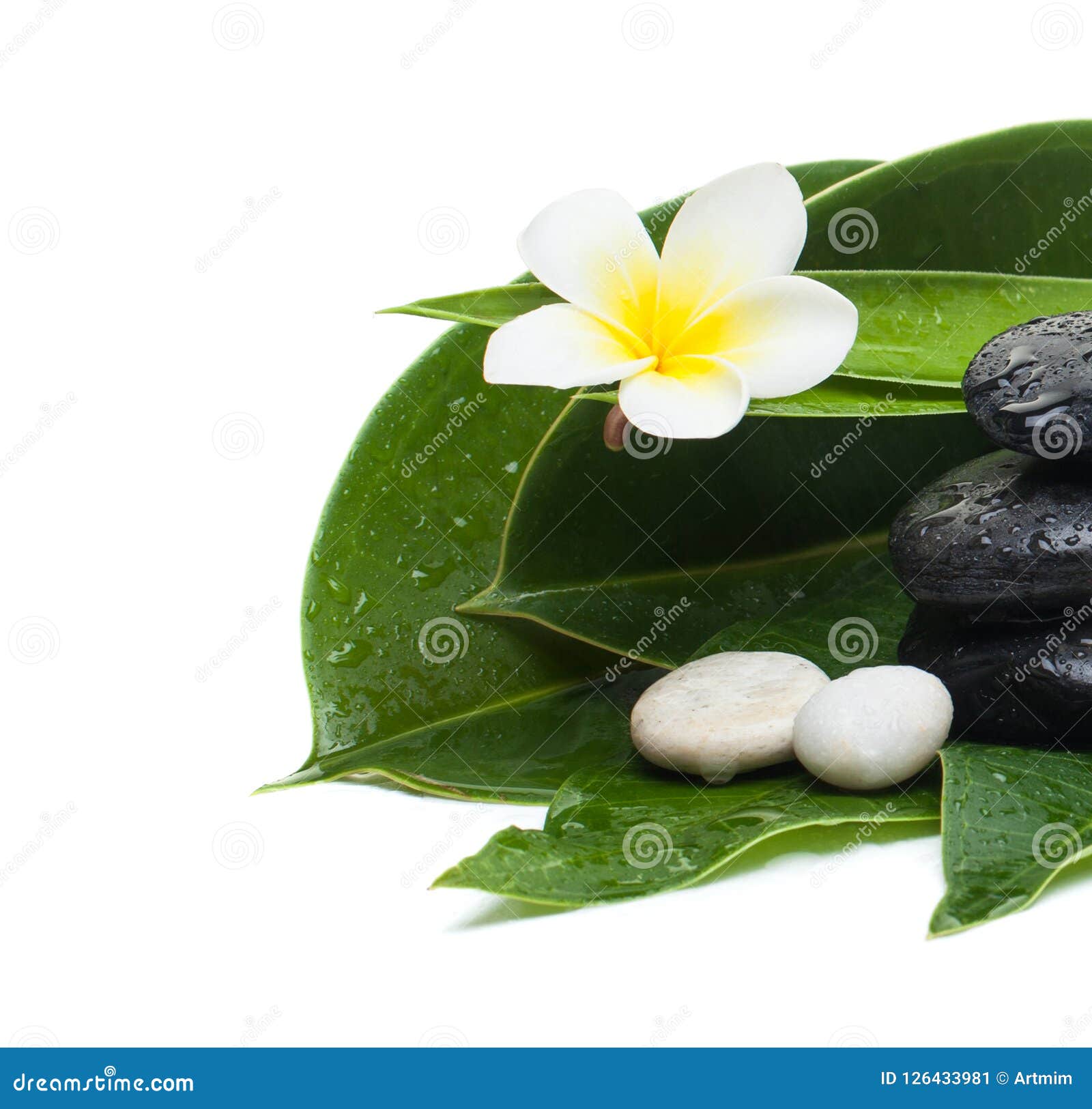 Flower, Leaves and Stones for Massage Therapy. Stock Image Image of