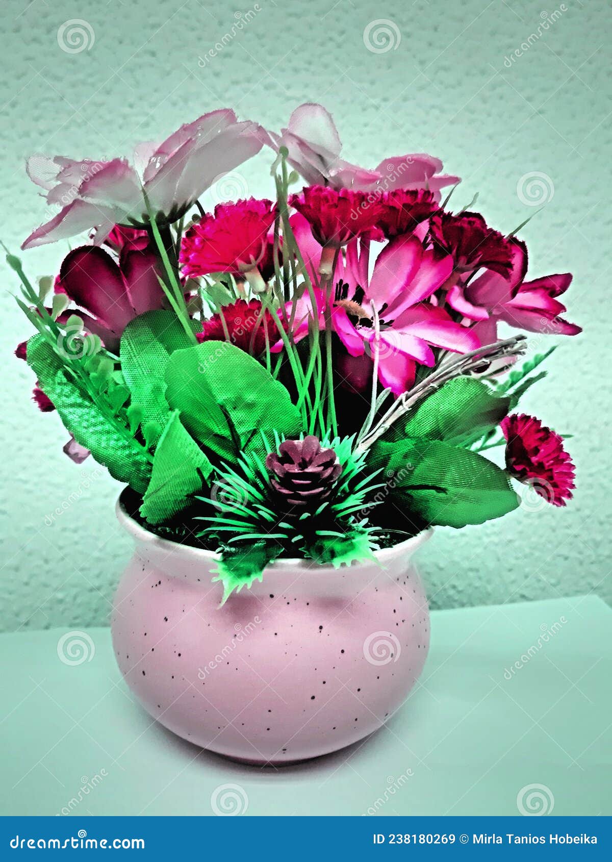 Flower in lebanon stock image. Image of pink, lavender 238180269