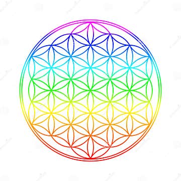 Flower of Life stock image. Image of flower, petals, spiritualism ...