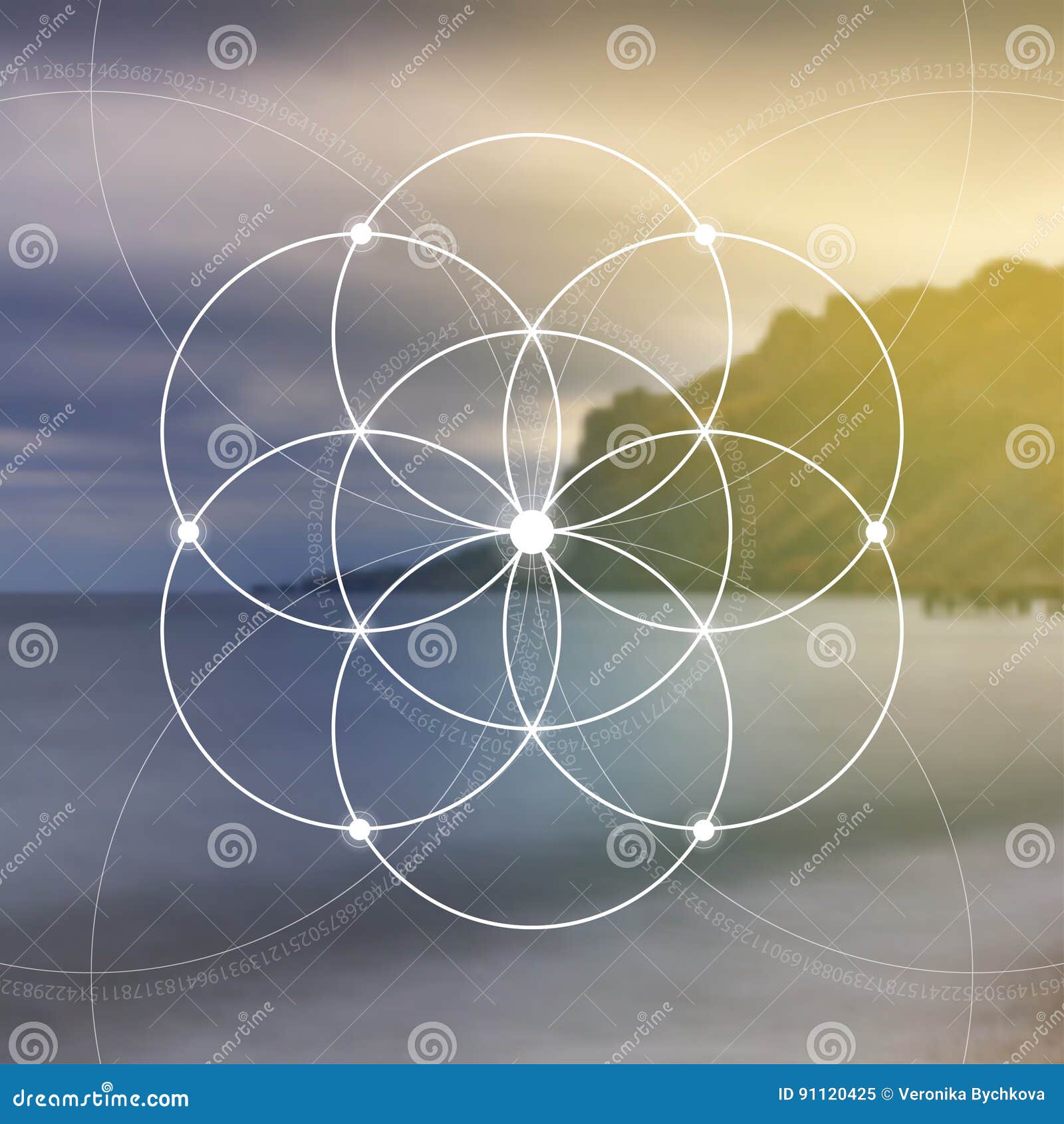 flower of life - the interlocking circles ancient . sacred geometry. mathematics, nature, and spirituality in nature. fibona