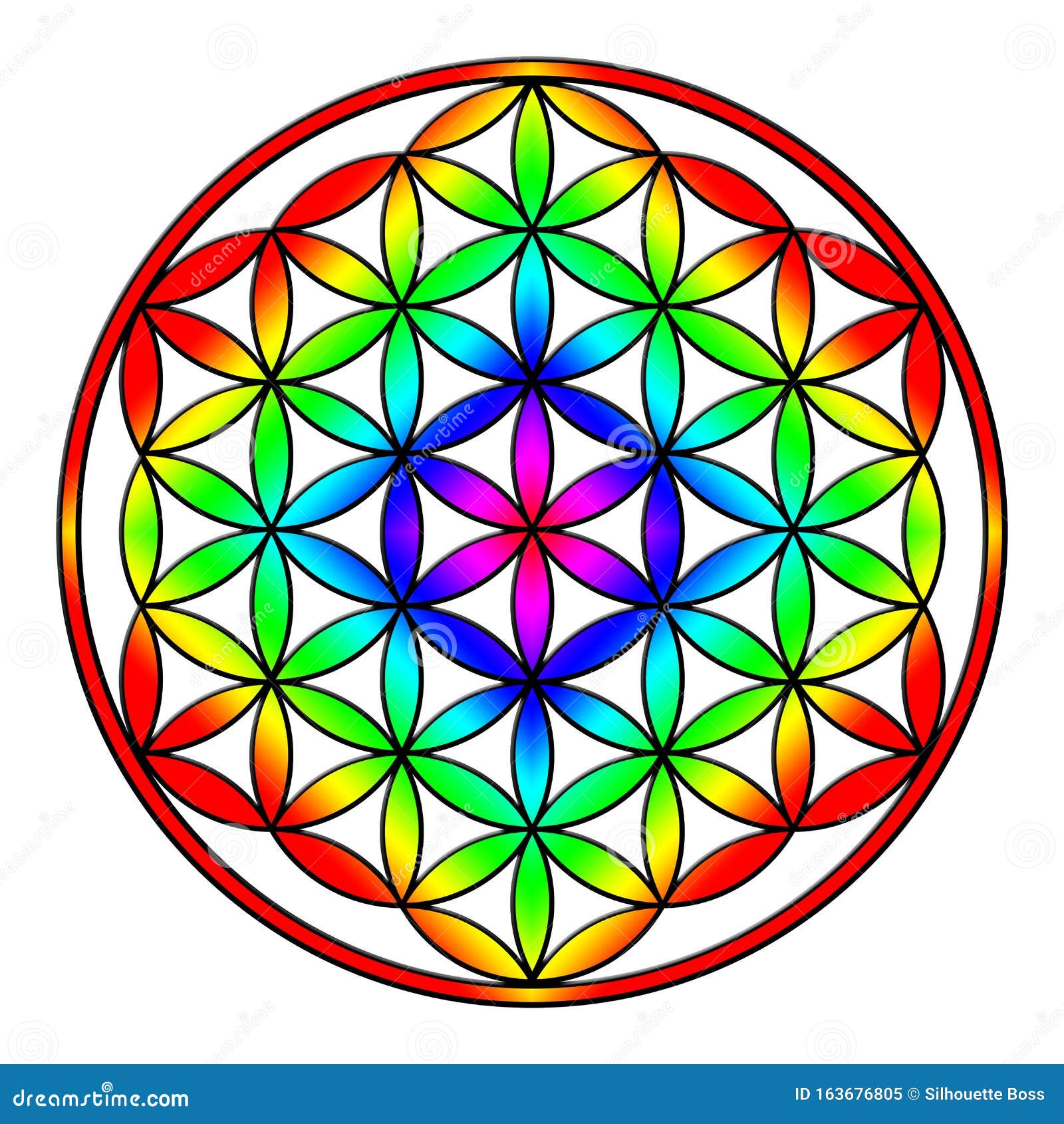 Flower of Life, Rainbow with Black Outline Stock Illustration ...