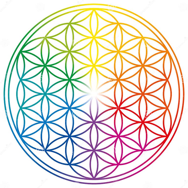 Flower of Life in Rainbow Colors Stock Vector - Illustration of color ...