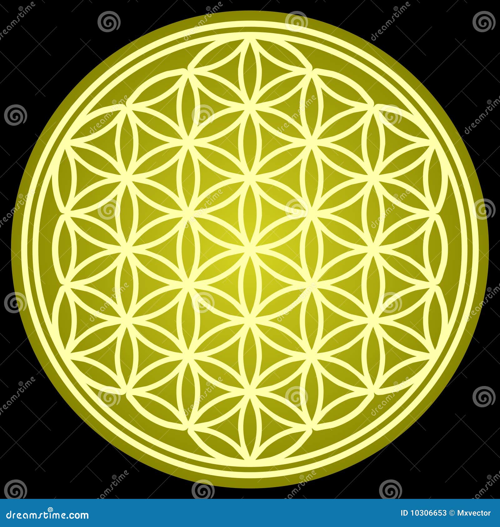 Flower Of Life Sacred Geometry Stock Vector Illustration Of Platonic Esoteric