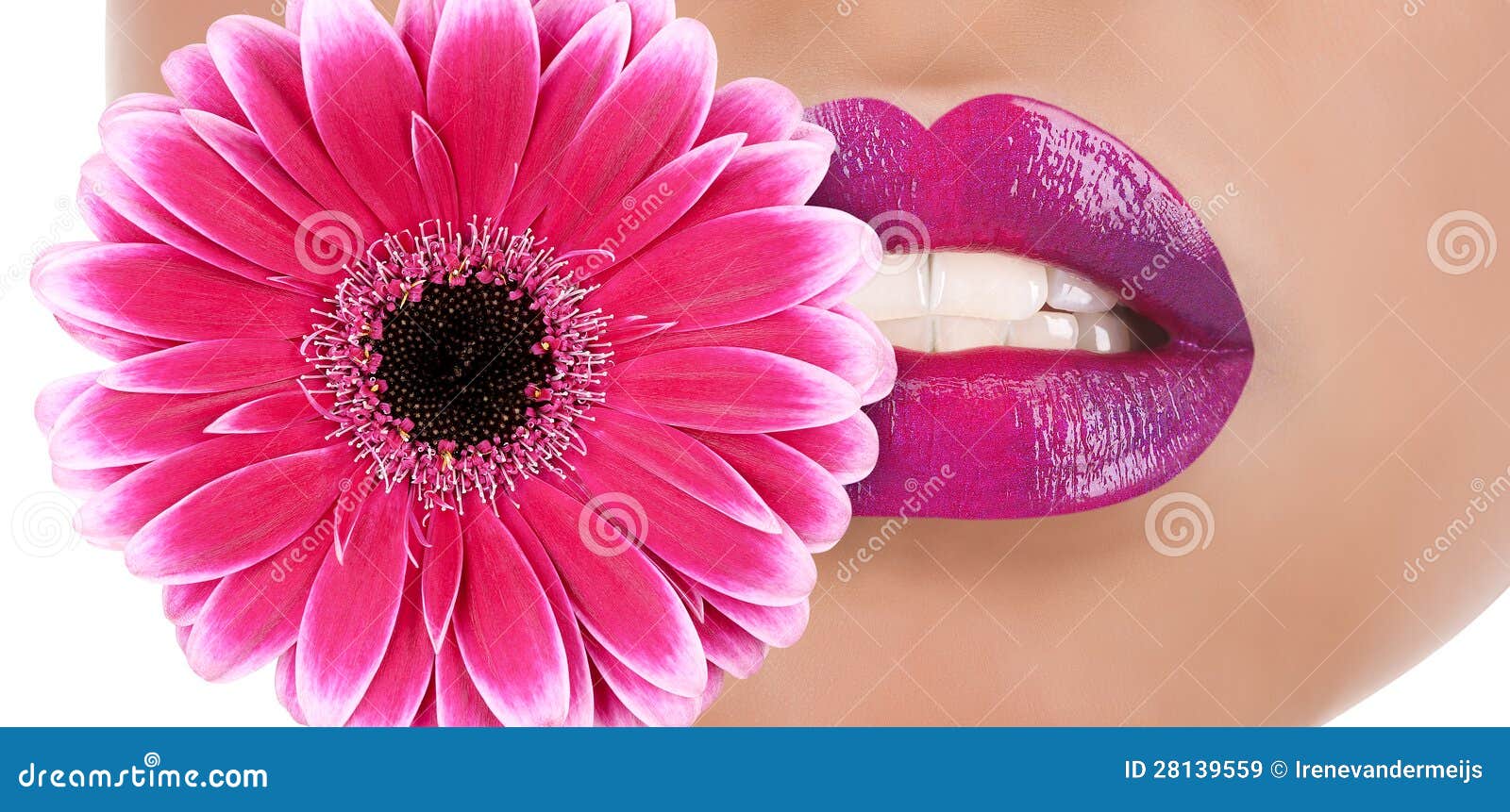 Flower lips stock image. Image of beauty, bloom, fashion 28139559