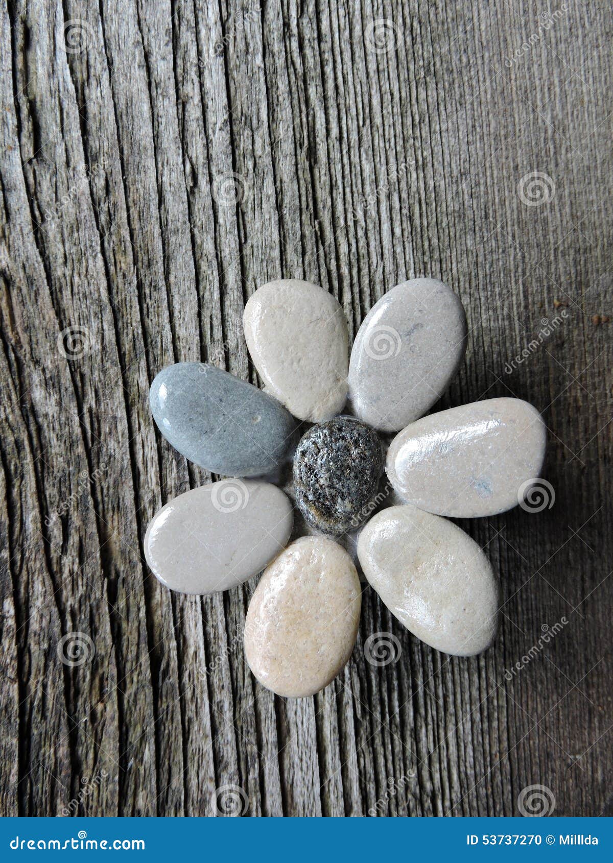 Flower Made from Natural Stones Stock Photo Image of brown, blooming