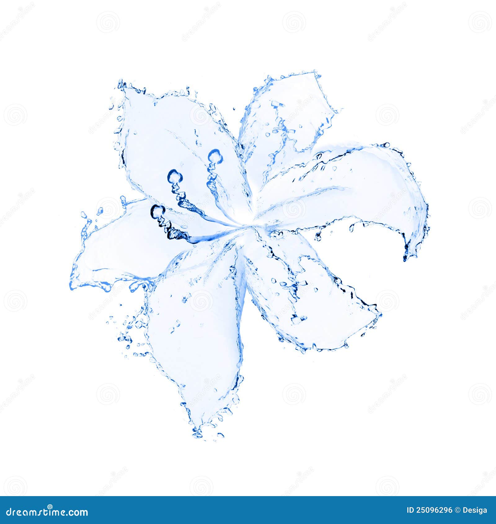 Flower made of water. stock photo. Image of dynamic, cutout 25096296
