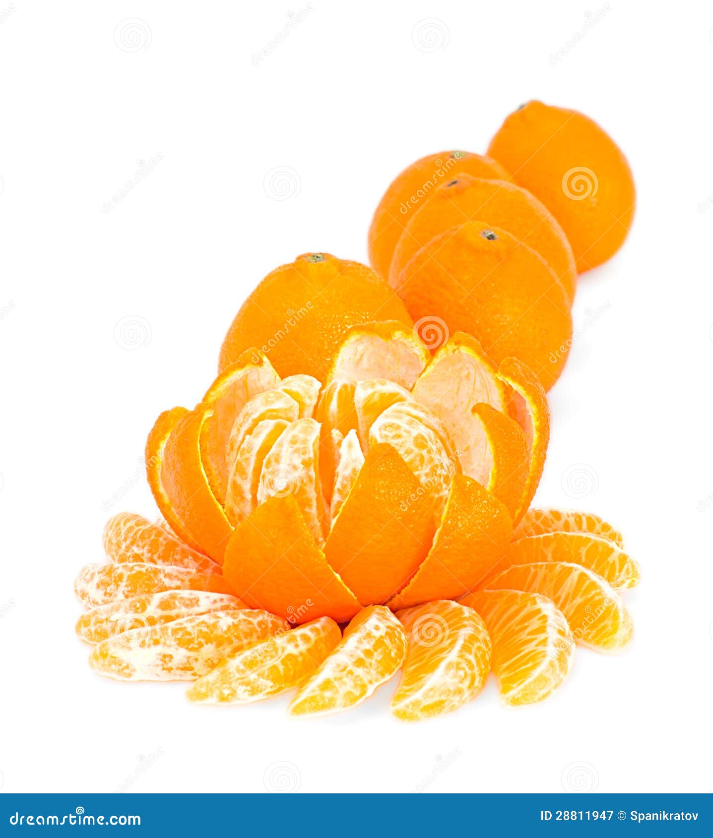Flower of mandarin stock image. Image of citrus, food 28811947