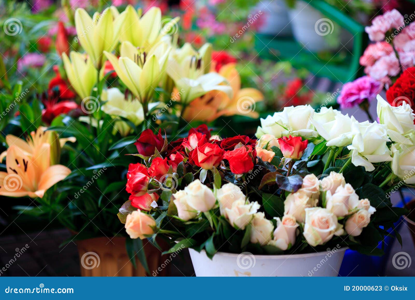 Flower market stock image. Image of sale, fresh, selection 20000623