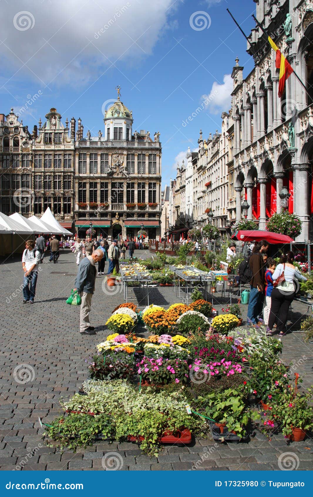 Flower Market in Brussels editorial image. Image of heritage 17325980