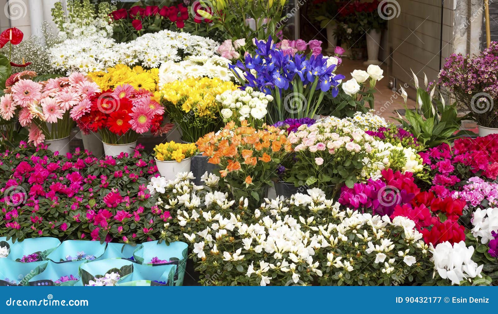 Flower Market stock image. Image of price, geranium, farmers 90432177