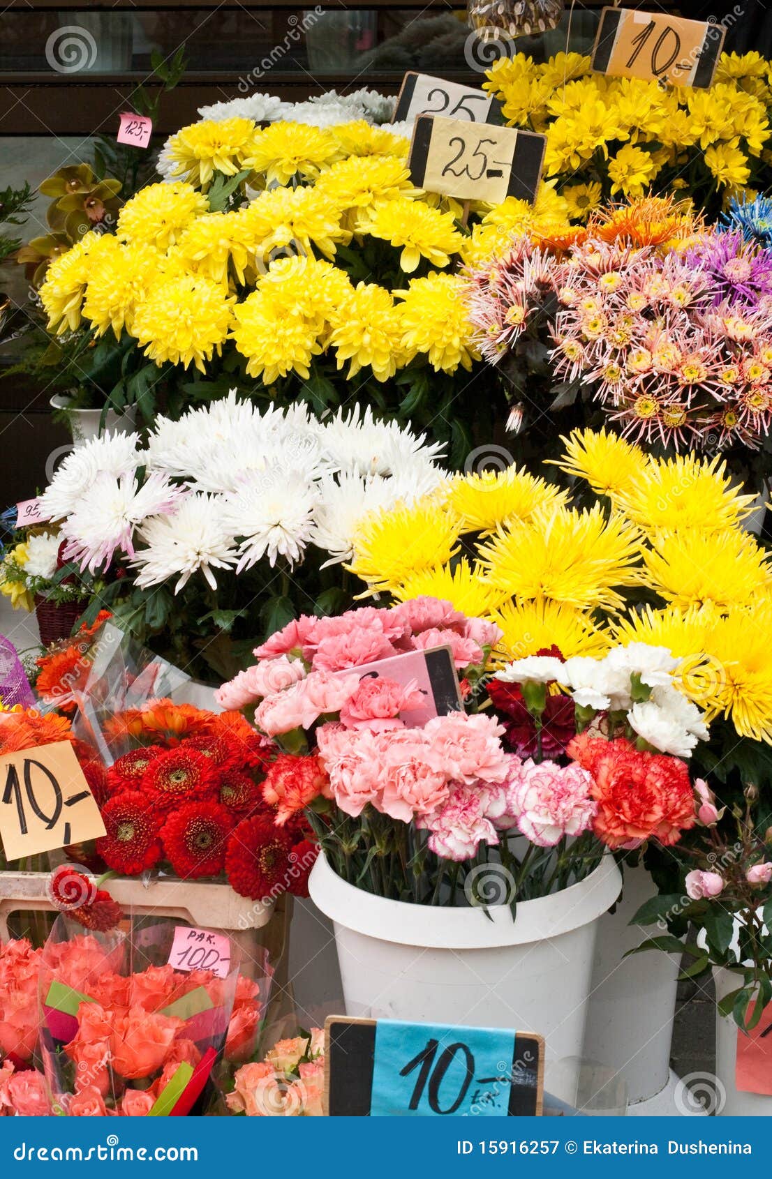 Flower Market at the Street. Stock Image Image of estonia, colored