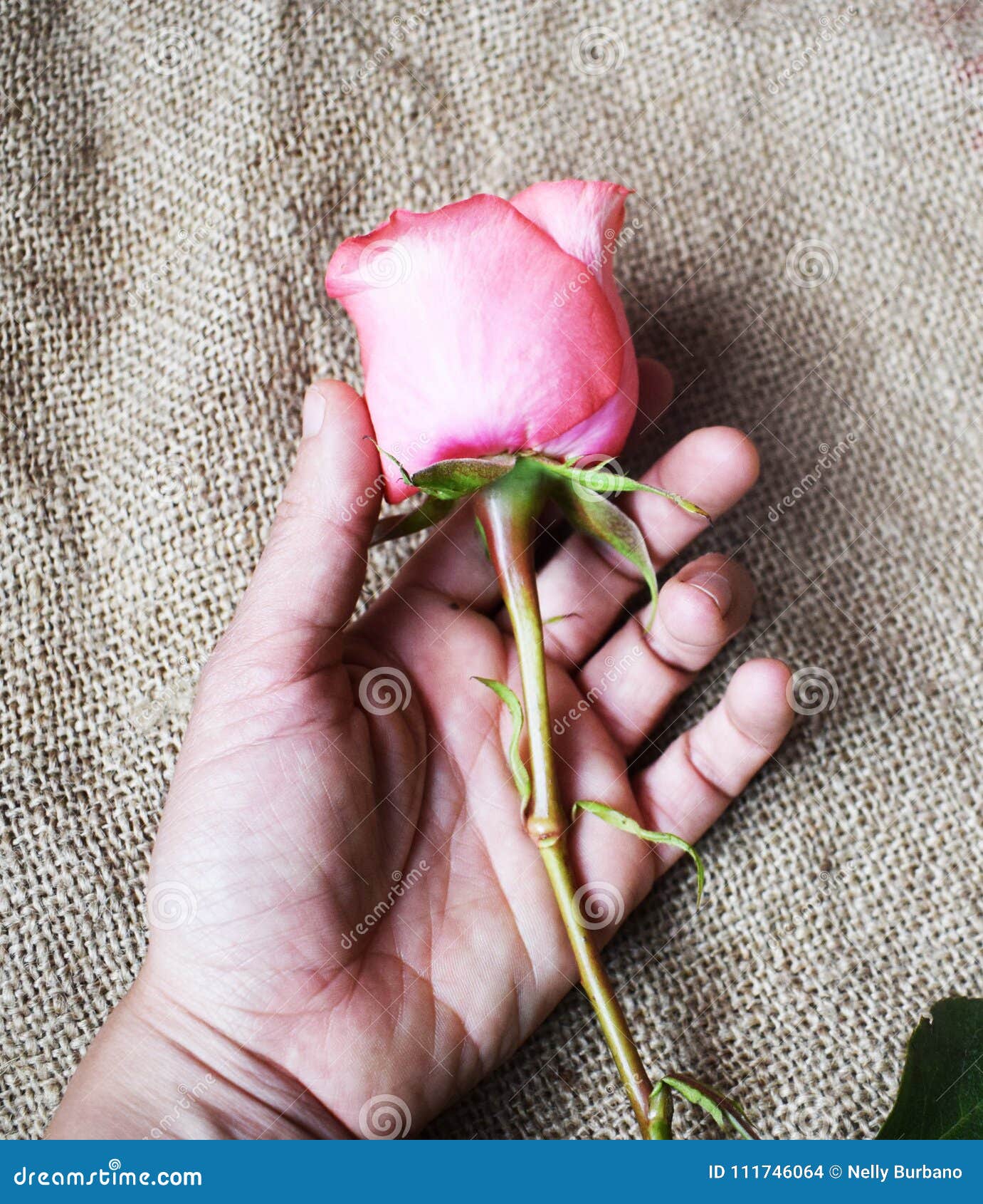 a flower in my hands