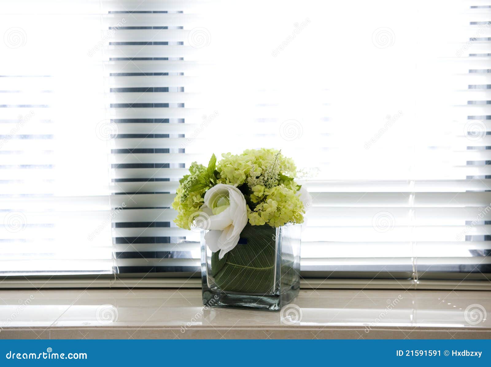 Flower in office stock image. Image of flowers, design 21591591