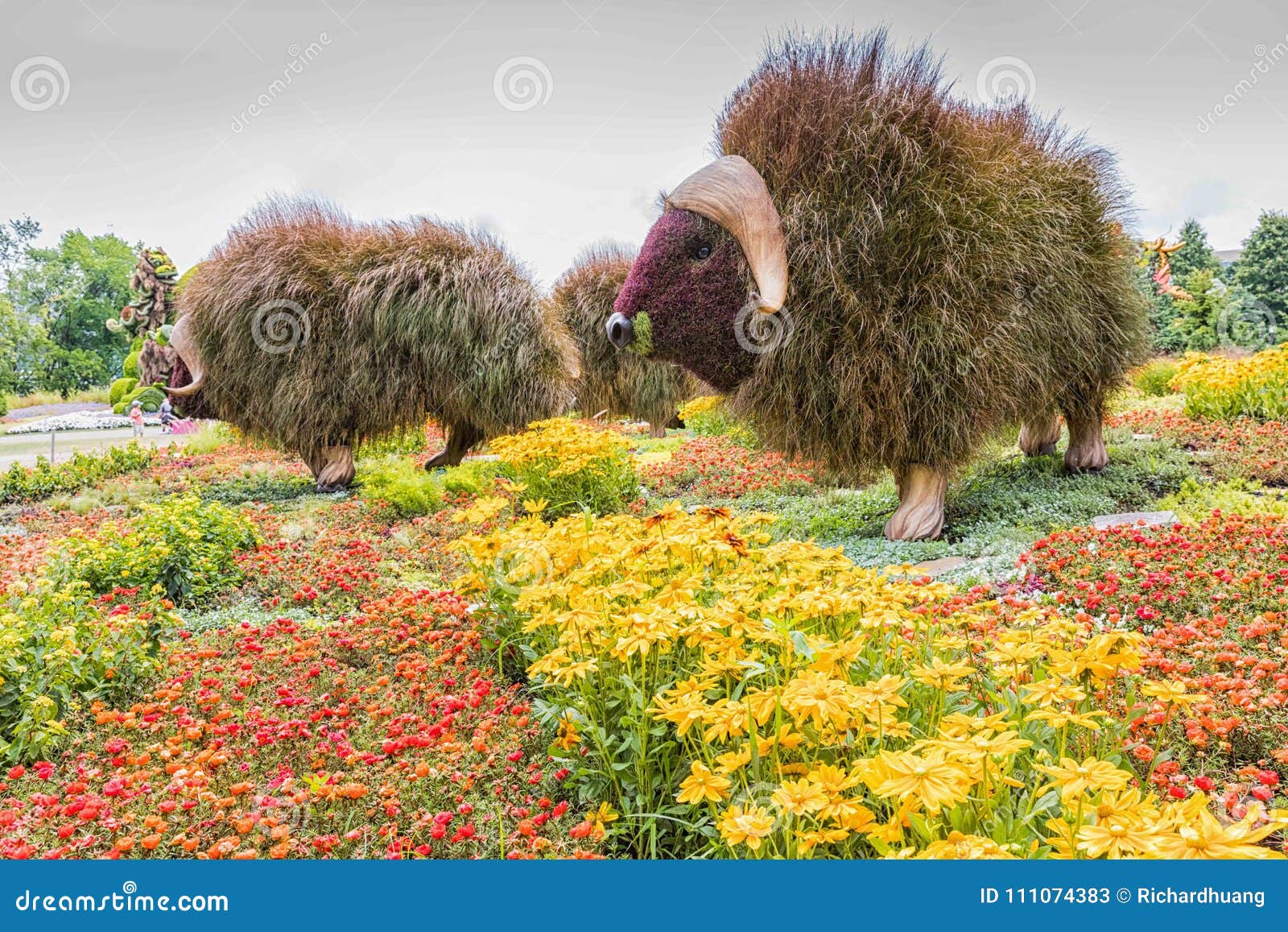 Flower In Park Stock Image Image Of Flower Home School