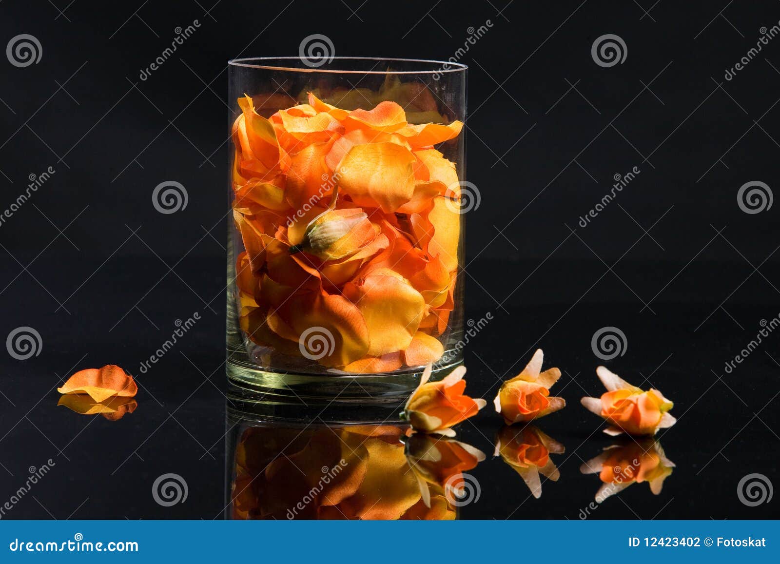 Flower petals in a glass stock photo. Image of flora 12423402