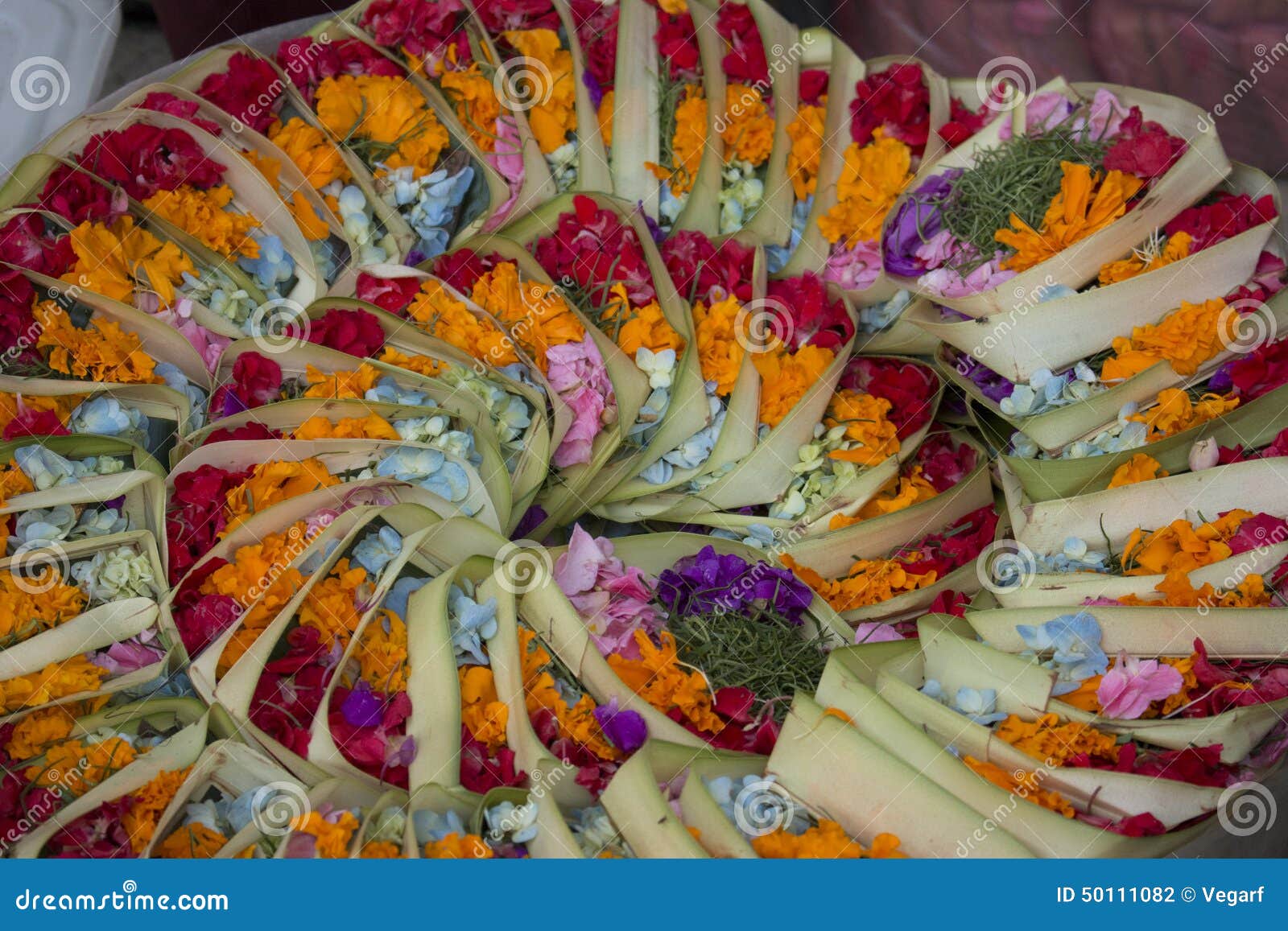 Flower petals stock photo. Image of baskets, offering 50111082