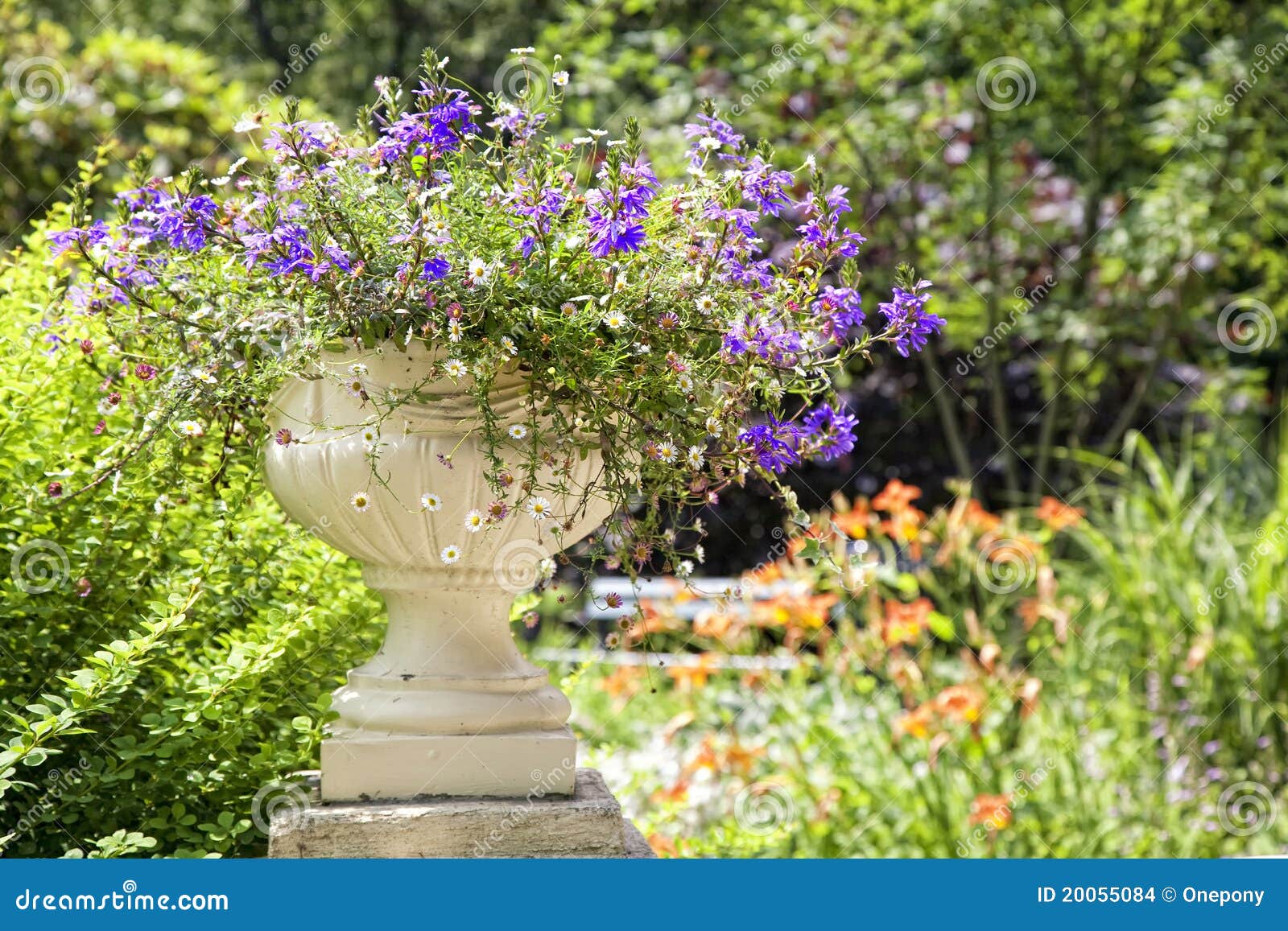 Flower Planter stock photo. Image of lawn, tree, annual 20055084