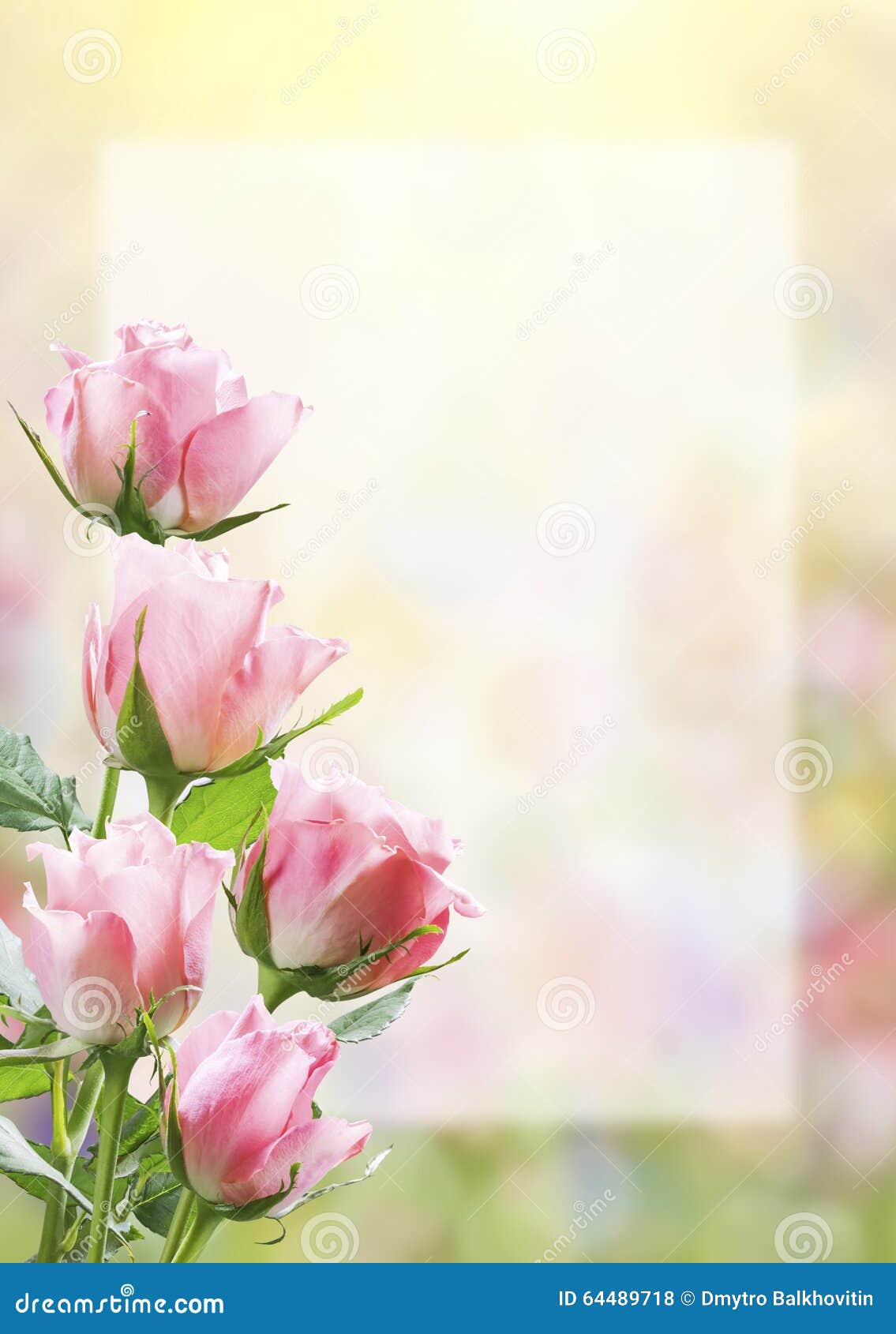 Flower Postcard Witn Empty Sheet of Paper Stock Photo Image of border