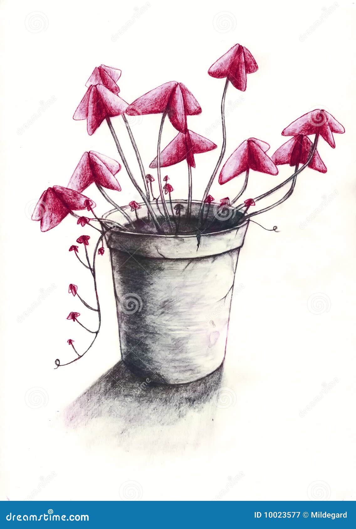 flower pot pencil drawing  Cactus drawing, Nature art drawings, Art  drawings sketches simple