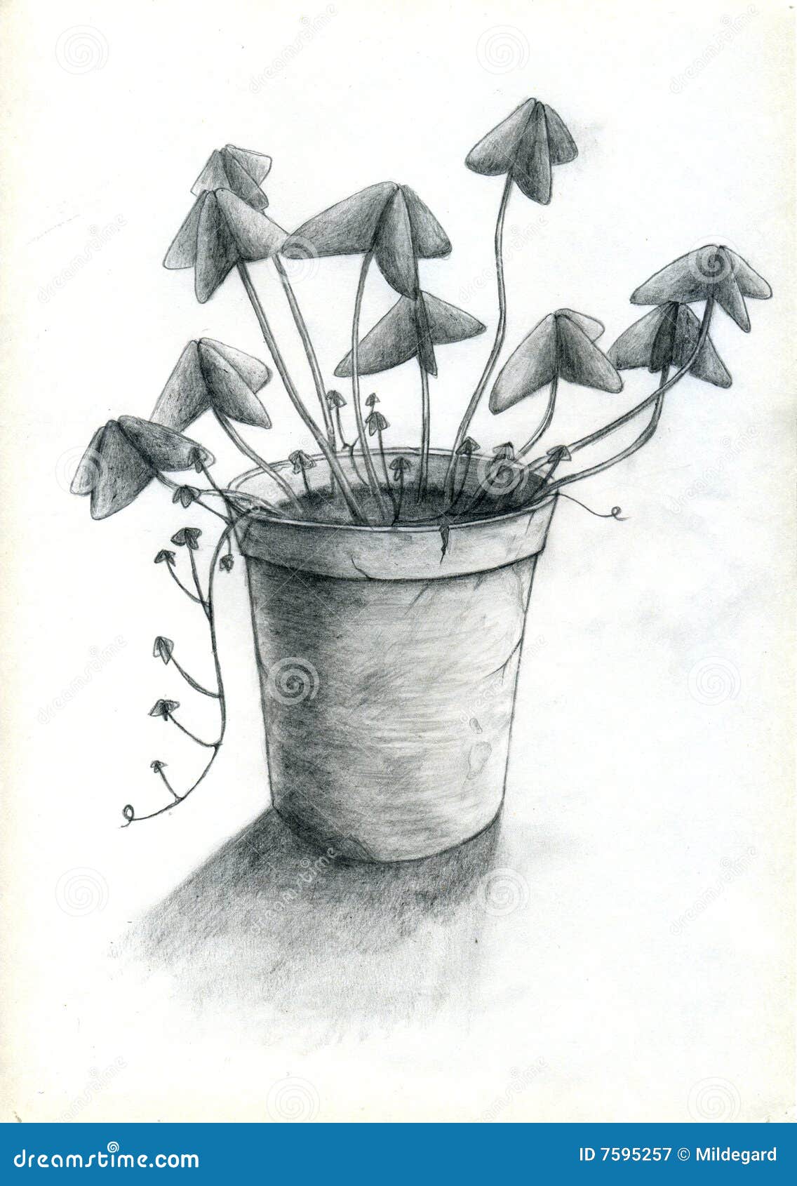 Flower pot stock illustration. Illustration of plant, life - 7595257