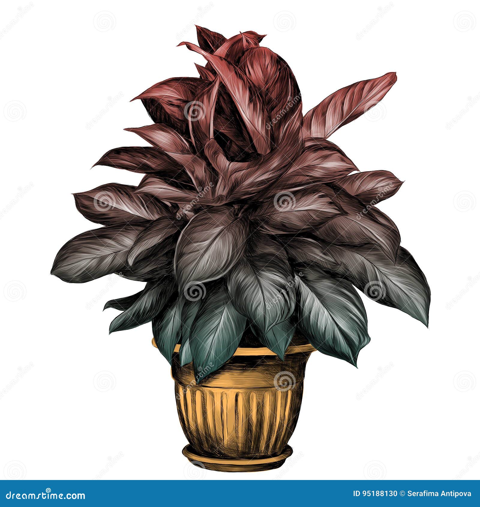 Featured image of post Design Sketch Flower Pot Drawing : 831x1122 easy flower pot drawing pot pencil sketch design drawing easy.