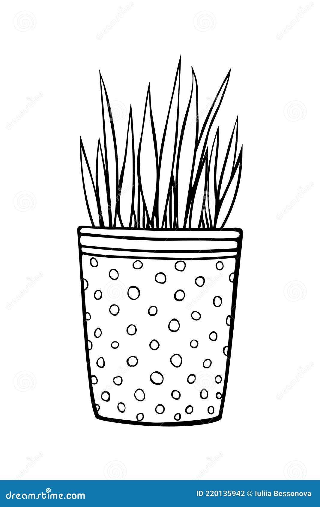 Flower in a pot line graphic drawing postcard. Tree branch in a vase vector  hand drawn illustration. Nature spring sketch of a plant isolated on white  background Stock Vector Image & Art -