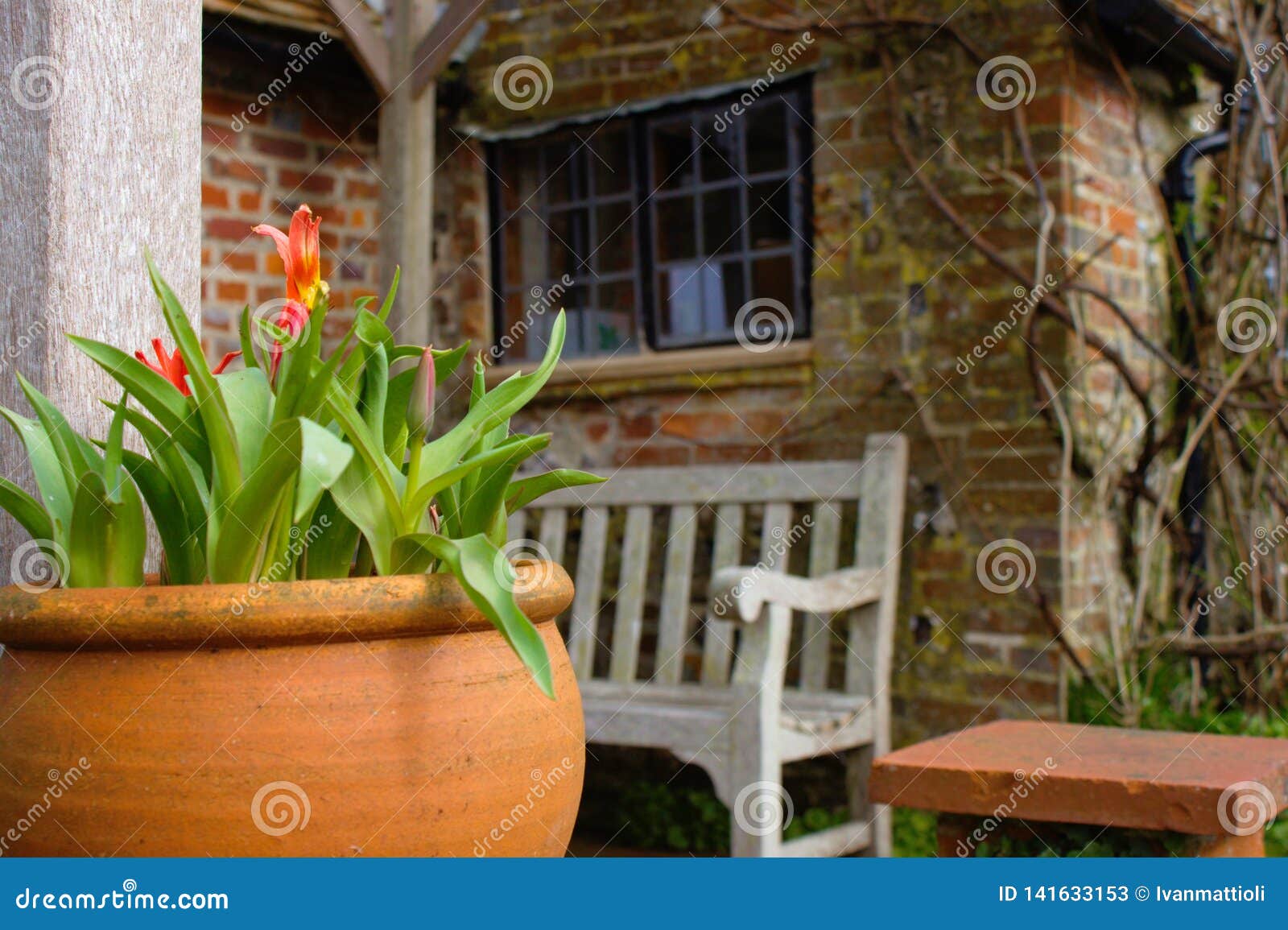 flower pot in front of a rural clergy house in england