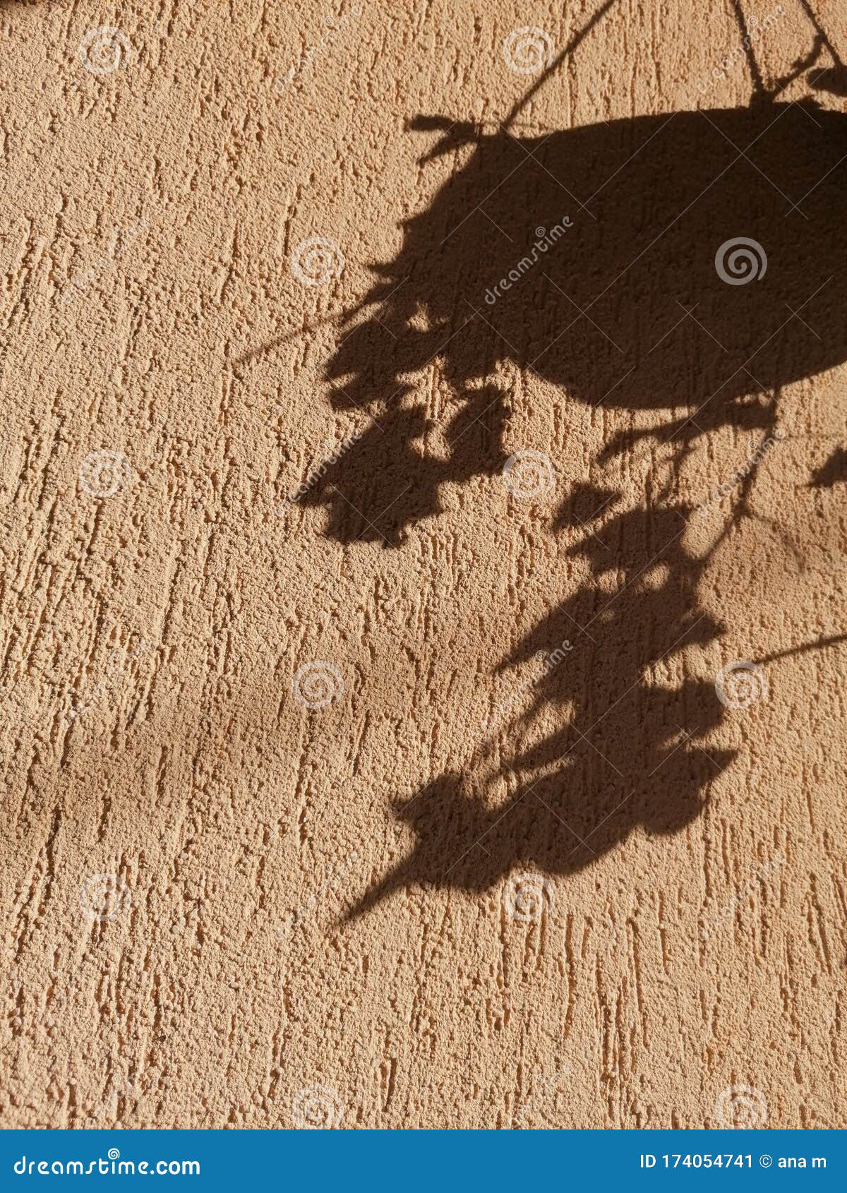 Flower pot shade stock image. Image of light, plant 174054741