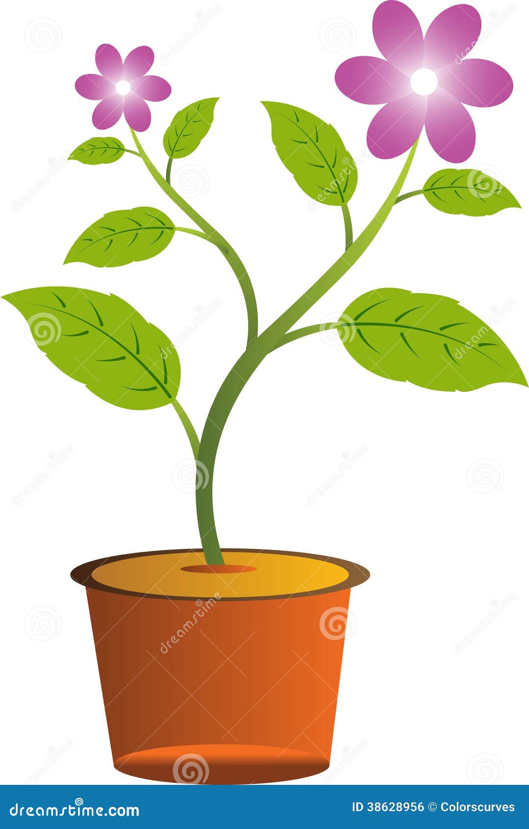 flower with pot