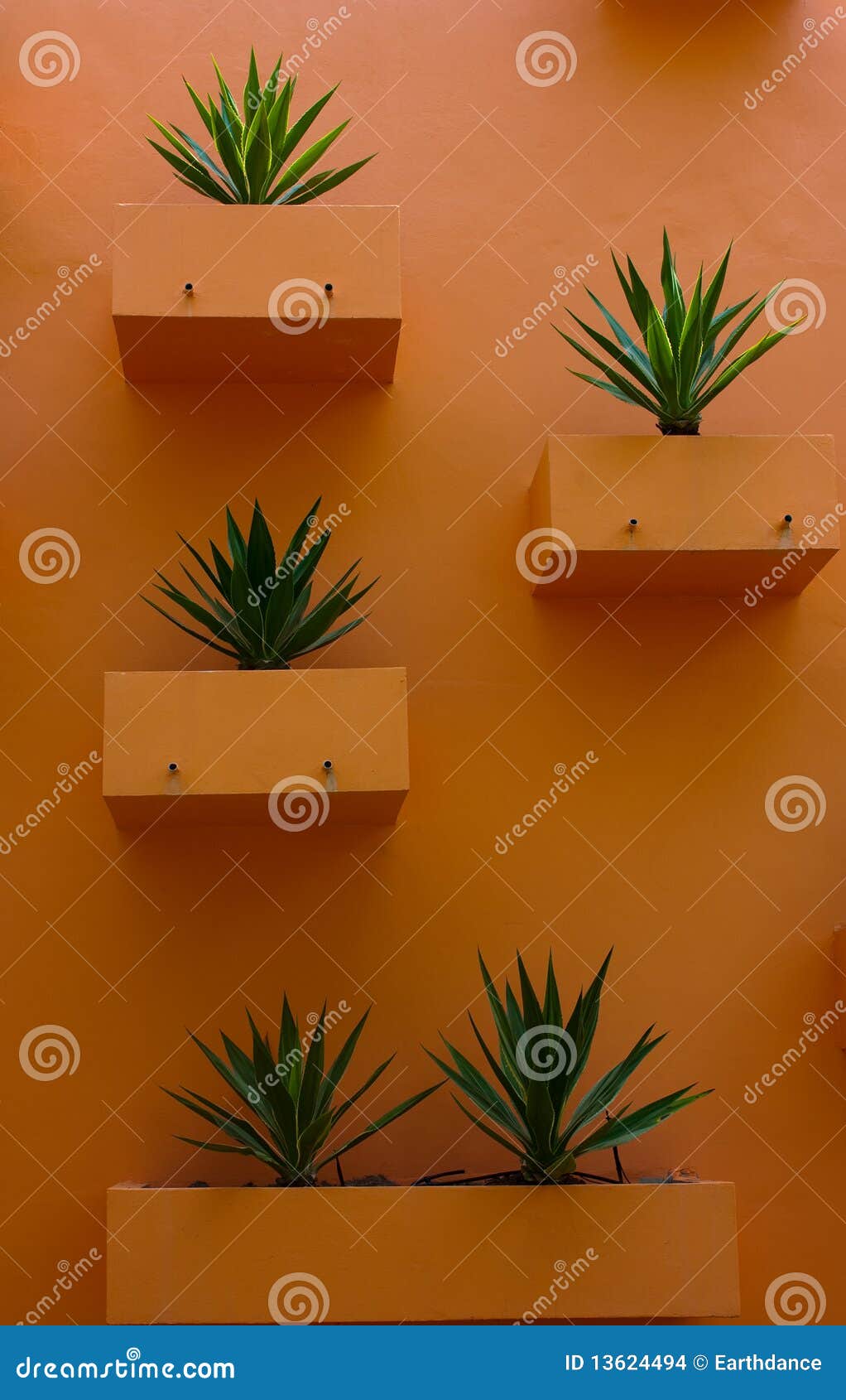 Flower Pot on the wall. stock photo. Image of frame, wall 13624494