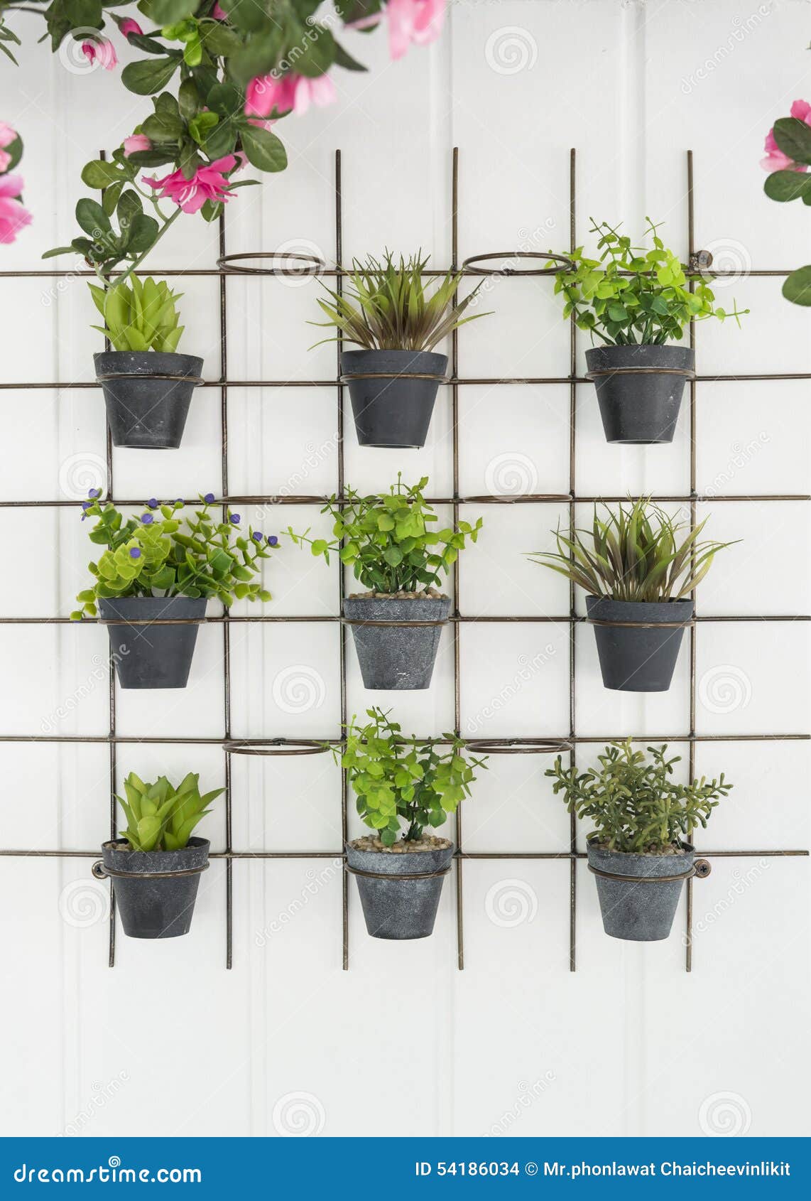 Flower pots stock photo. Image of flowerpot, flower, background 54186034