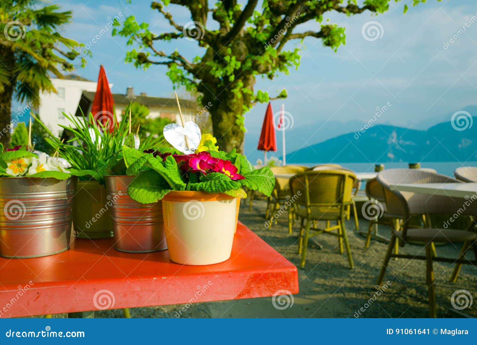 Flower Pots in Outdoor Restaurant Stock Image Image of cafe, shore