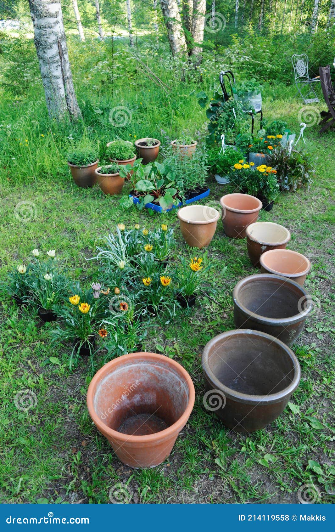 Empty Flower Pots and Plants Stock Photo Image of outdoors, leisure 214119558