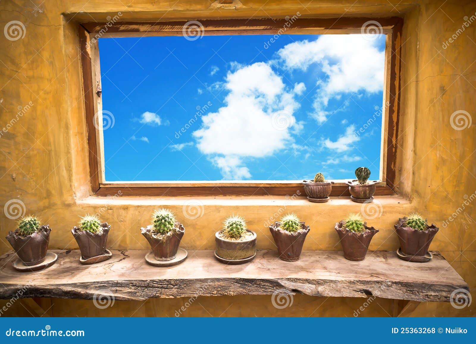 Flower Pots with Variety on the Window Stock Photo Image of nature