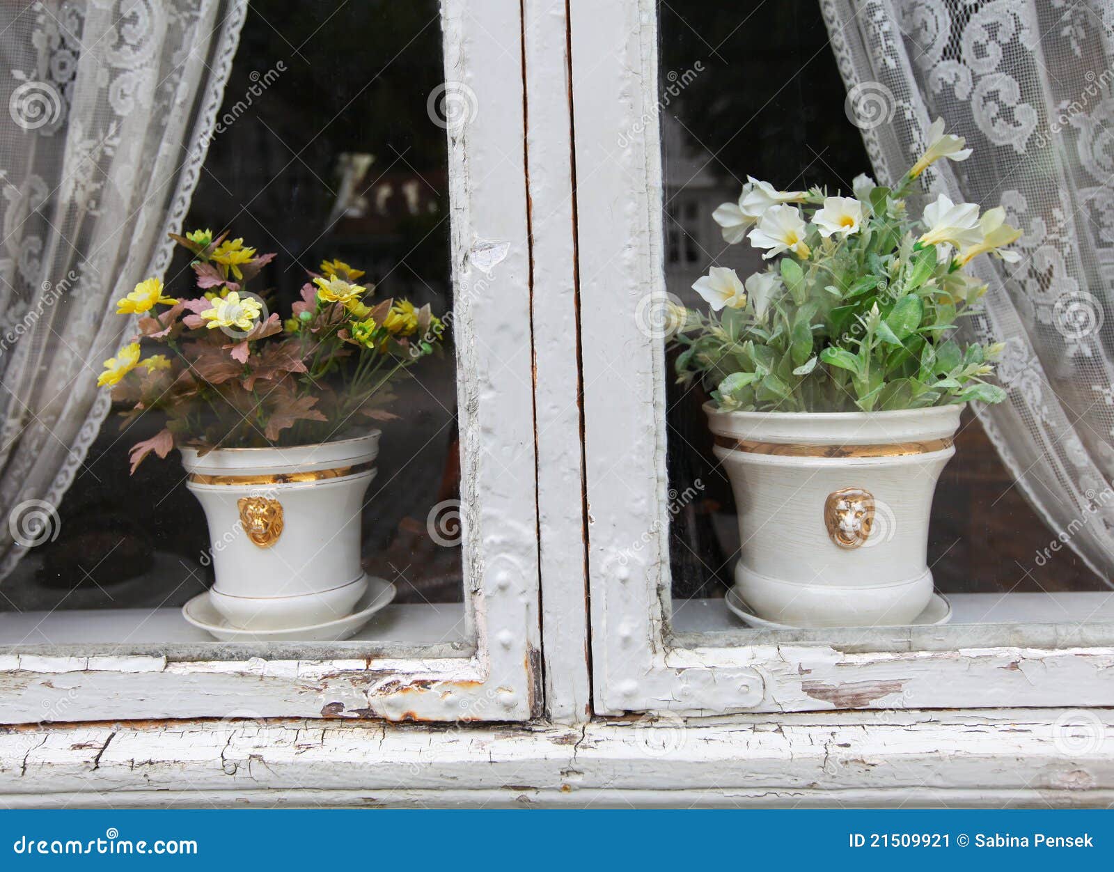 Flower Pots in the Window with Curtains Stock Image Image of blossom