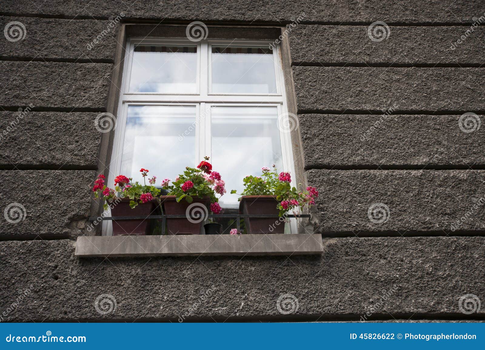 Flower pots at window sill stock photo. Image of exterior 45826622