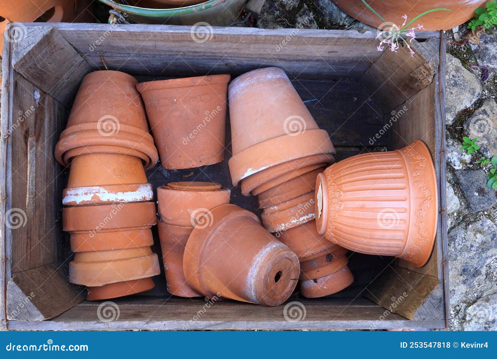 Flower Pots in a Wooden Crate Stock Photo Image of stone, wooden