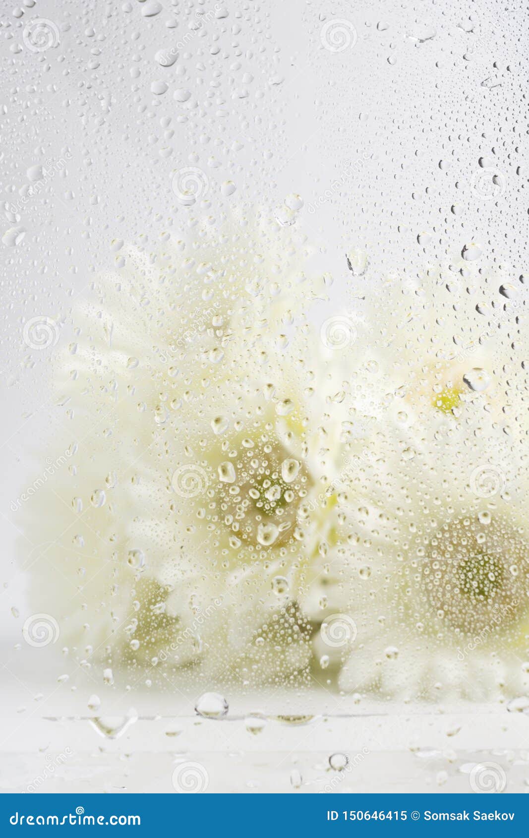Flower and Raindrops on the Glass Stock Image - Image of texture, background: 150646415 Flower and Raindrops on the Glass Stock Image - Image of texture, background: 150646415