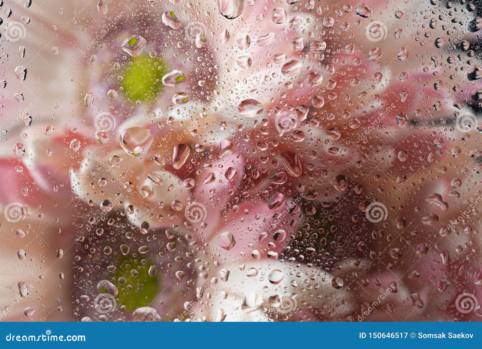 Flower and Raindrops on the Glass Stock Image - Image of wallpaper,  raindrops: 150646517