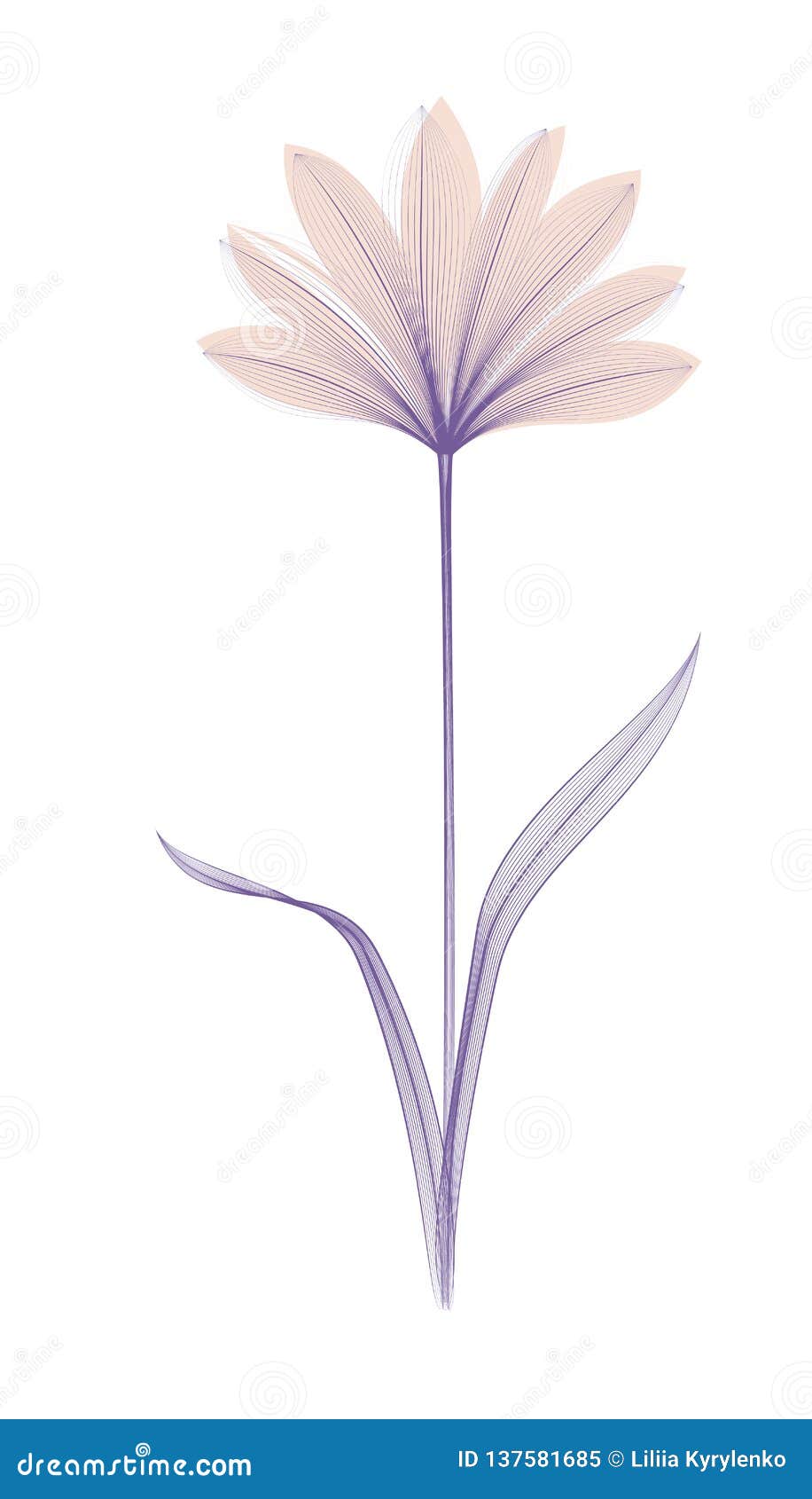 Flower Xray or Blend Effect. Floral Design Stock Illustration