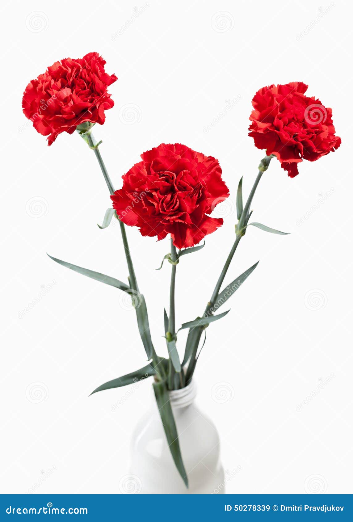 Flower. Red Carnations Bouquet Isolated On White Background Stock Image