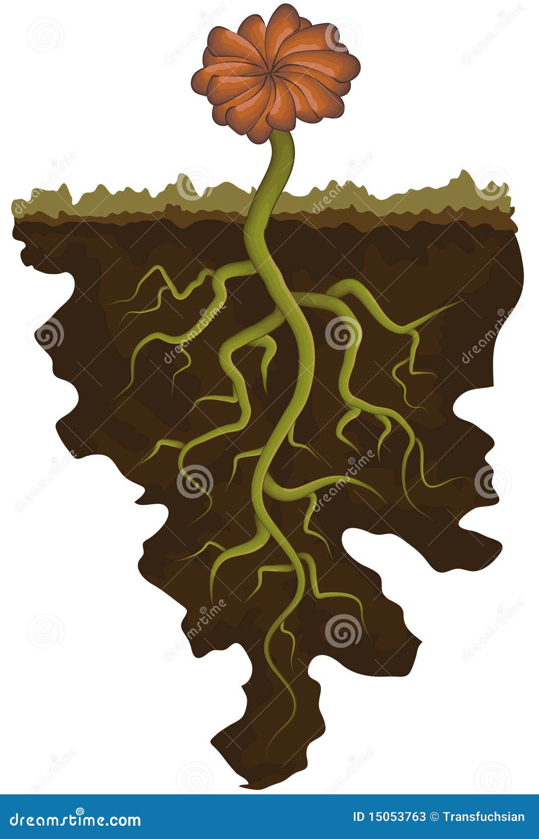 Flower with roots stock vector. Illustration of organic - 15053763