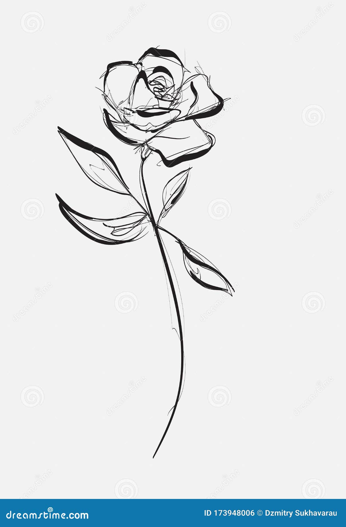 Flower Rose, Sketch, Painting. Hand Drawing. White Bud, Petals ...