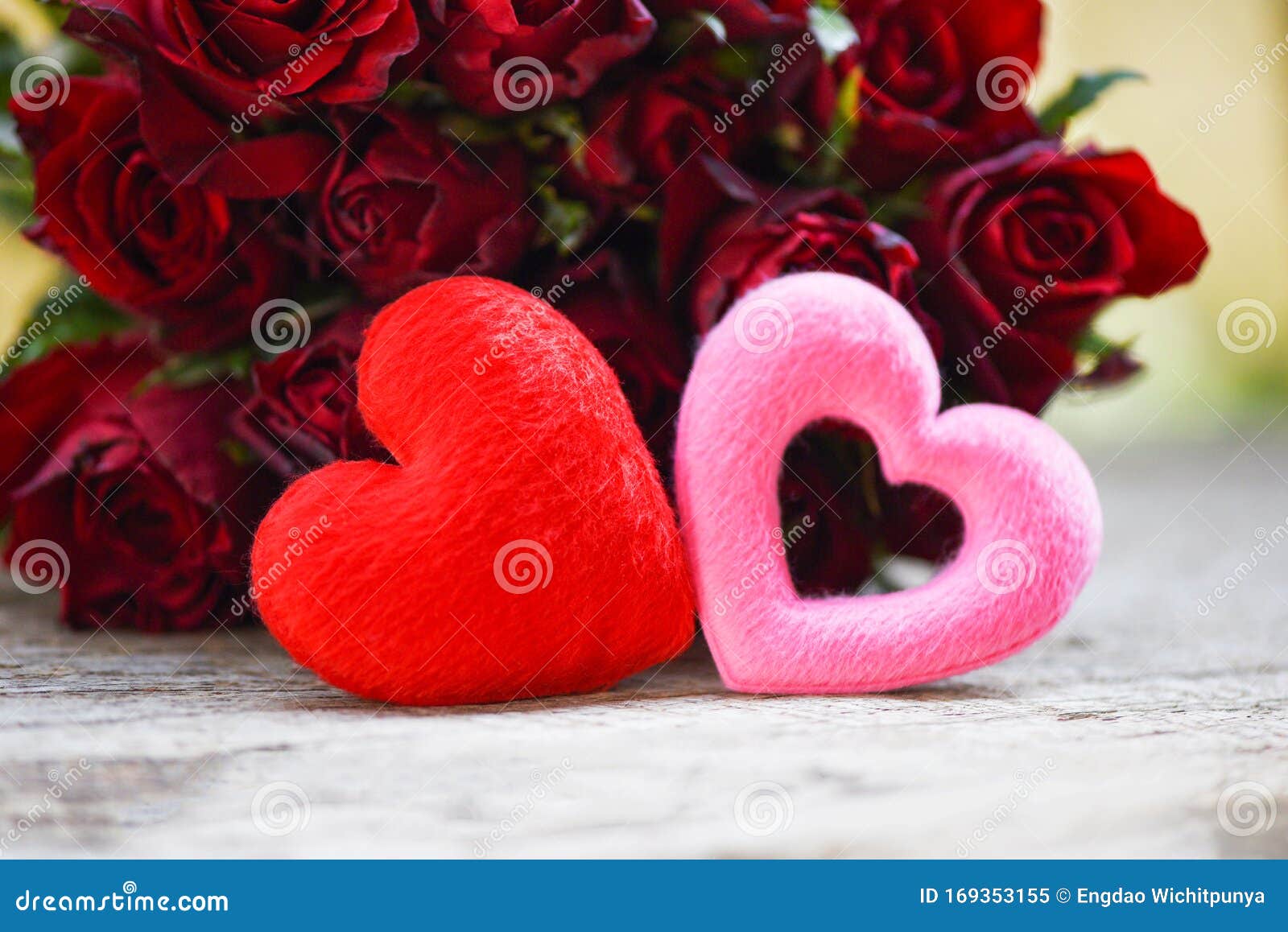 Romantic gift & red roses, isolated on pink background, love concept, Stock image