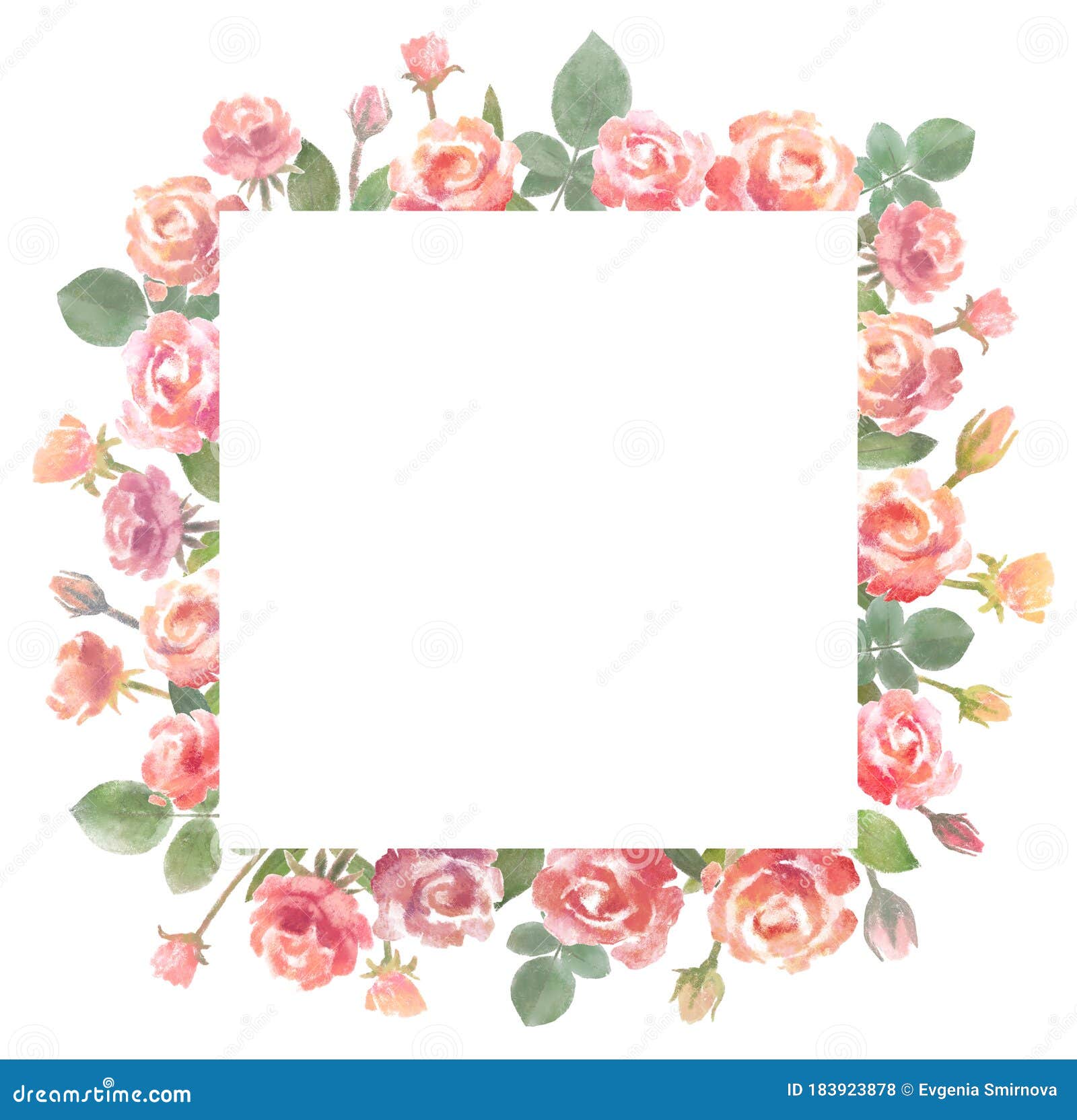 Flower Roses Square Frame. Pink Watercolor Floral Illustration for ...