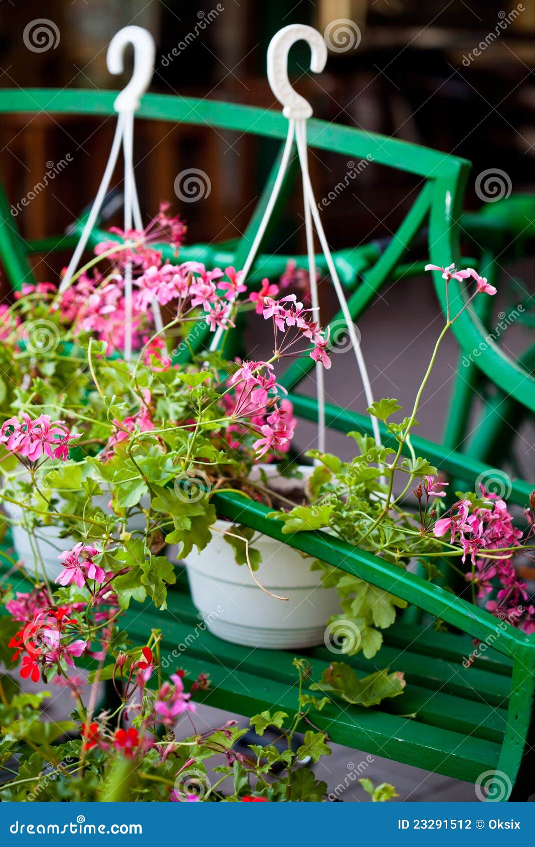 Flower s market outdoor stock photo. Image of outdoors 23291512