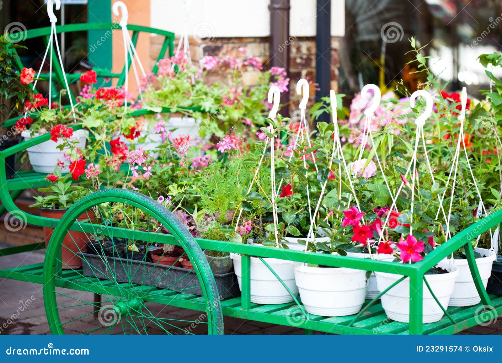 Flower s market outdoor stock photo. Image of decoration 23291574