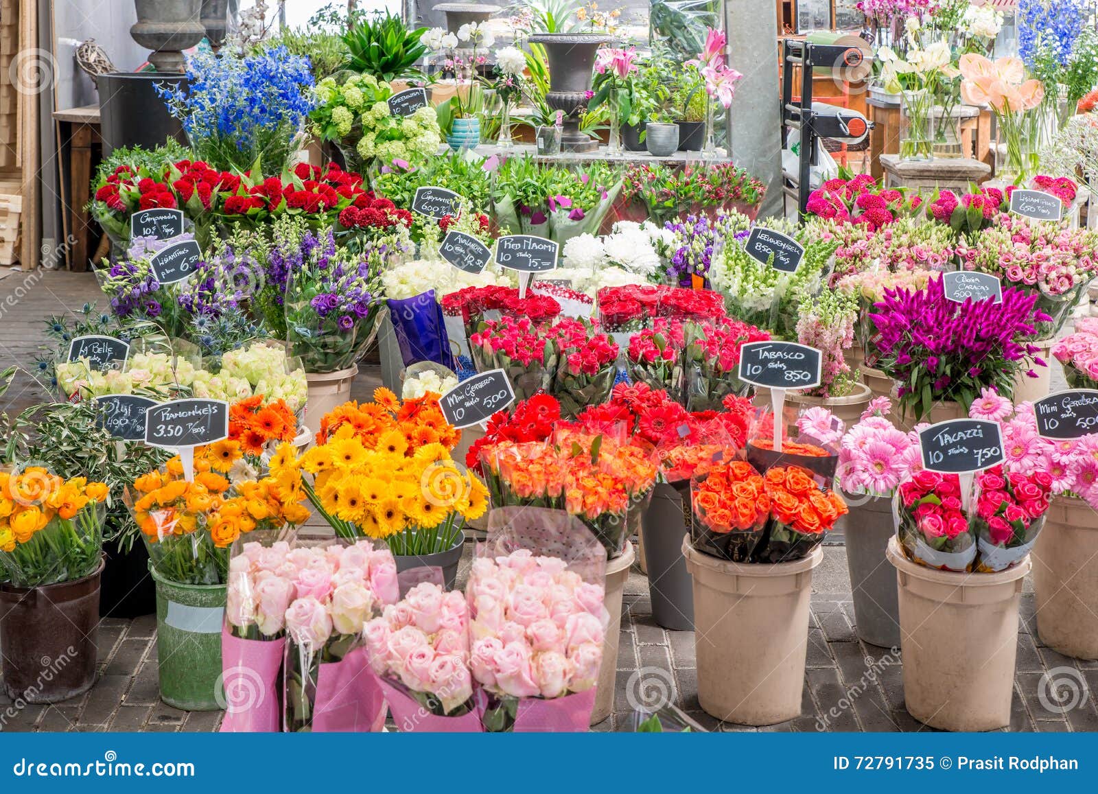 krater kruipen video Flower for Sale at a Dutch Flower Market, Amsterdam, Netherlands Stock  Image - Image of purple, close: 72791735